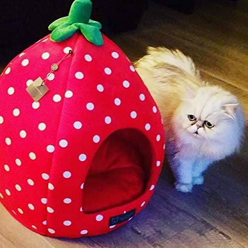 NANDOG Insta Fun Strawberry Dog & Cat Bed - Ultra Soft Micro Plush with Foam Cushioning - Cozy, Supportive & Stylish Lounger with Adorable Fruit-Inspired Design