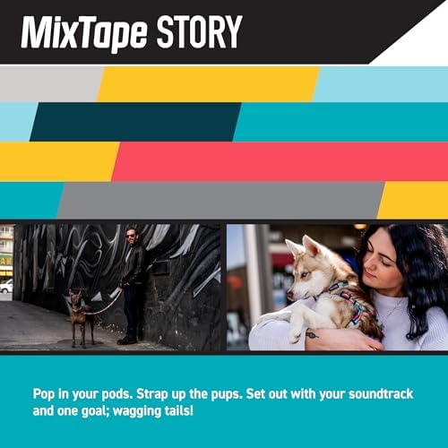 Wolfgang Wide Venture Dog Collar Mixtape Print Medium