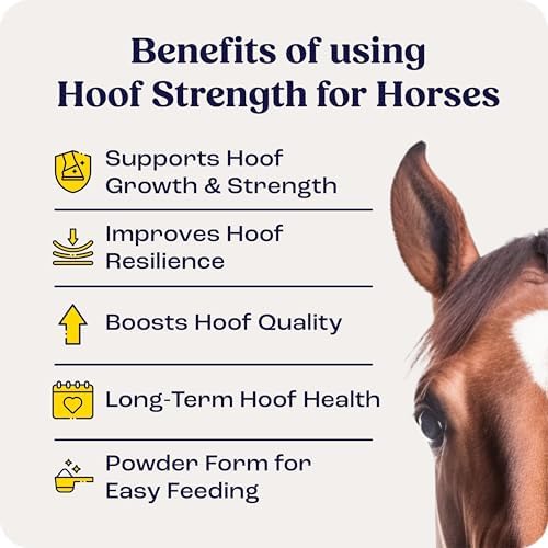 Summit Equine Hoof Strength Powder for Horses, Promotes Healthy Hooves with Biotin, Amino Acids, and Minerals, Horse Hoof Supplement,11 oz, 30-Day Supply