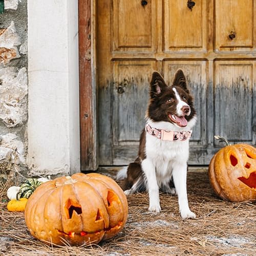 Dog Collars, Halloween Pet Collars Fall Ghost Print Pet Collar Durable Metal Cute Soft Dog Collars Boy Girl Dog Collar Adjustable Collar for X-Small Dogs