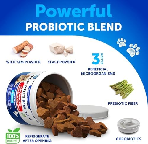 Probiotics for Dogs - 120 Chews - Dog Yeast Probiotic - Dog Probiotics
