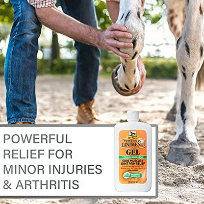 Absorbine Veterinary Liniment Gel, 12 oz Bottle