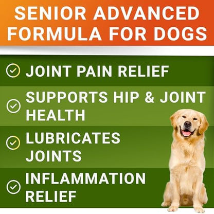 STRELLALAB Advanced Glucosamine for Senior Dogs, Chondroitin Joint Support
