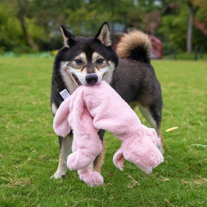 Best Pet Supplies 2-in-1 Stuffless Squeaky Dog Toy - Pig, Small