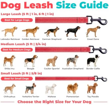 Best Pet Supplies Voyager Nylon Dog Leash - Red, Small