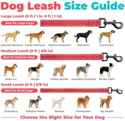 Best Pet Supplies Voyager Nylon Dog Leash - Red, Small