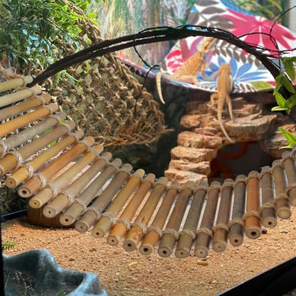 Reptile Bamboo Climbing Bridge,Lizard Ladder Hammock Bridge Bearded Dragon Hanging Bamboo Ladder Lounger Lizard Hammock Terrarium Vines Decor Reptile Habitat Tank Accessories for Chameleon Gecko