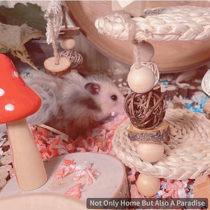 Hamster Toys for Hamster, Gerbils, Mice, Rats - Natural Wood Chew Toys for Small Animals, Syrian & Dwarf Hamster Cage Accessories to Relieve Boredom, Promote Molar Teeth Grinding & Reduce