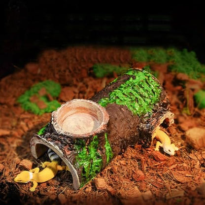 Pet Reptile Caves Hideout with Food Dish Bowl, Terrarium Ornament Habitat Shelter Decor, for Snake, Leopard Gecko, Lizard, Hermit Crab, Spider, Amphibians, Frogs, Crested Gecko, Aquarium Fish
