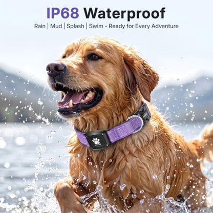 GPS Dog Collar with Tracker, Waterproof, No Monthly Fee, Purple, L