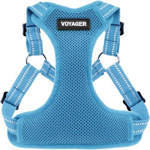 Voyager Step-in Flex Adjustable Dog Harness - Baby Blue, Medium