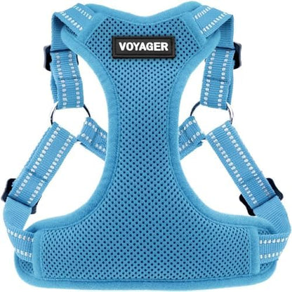 Voyager Step-in Flex Adjustable Dog Harness - Baby Blue, Small