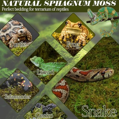 ZeeDix 0.75 lb Sphagnum Moss for Reptiles