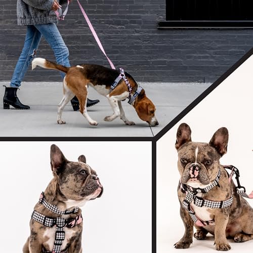 Wolfgang Wide Venture Dog Collar HoundsPink Print X-Large
