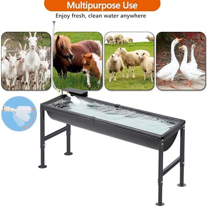 Automatic Livestock Water Trough 11 Gallon