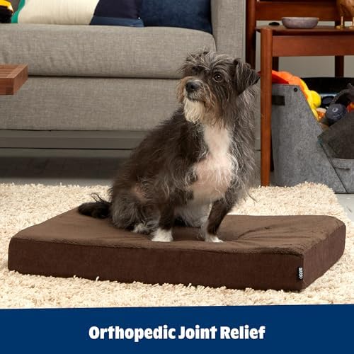 BarkBox Orthopedic Dog Bed - Medium