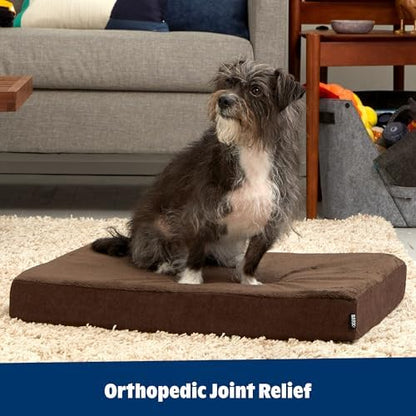 BarkBox Orthopedic Dog Bed - Medium
