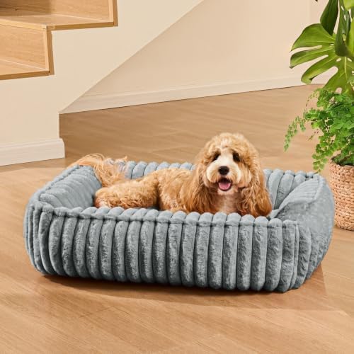 Small Dog Bed Calming Cat Bed for Indoor Cats 20’’x16’’Sage Grey