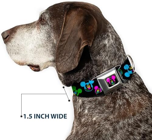 Buckle-Down Seatbelt Buckle Dog Collar - Mickey Mouse Expressions Scattered Black/Multi Neon - 1" Wide - Fits 11-17" Neck - Medium