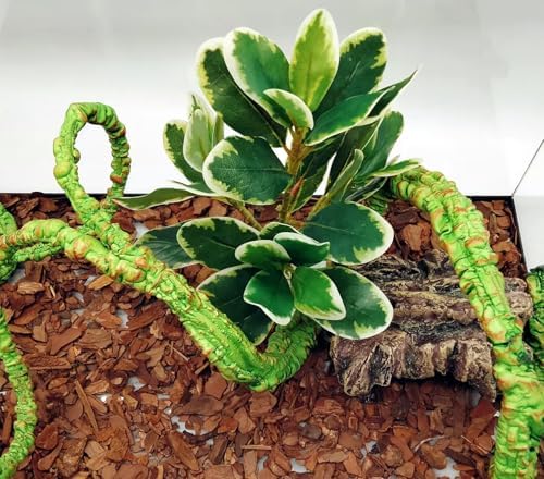 Reptile Plants Terrarium Decor,Reptile Tank Decorations