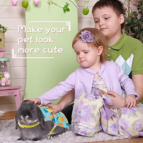 3 Sets Rabbit Bunny Harness and Leash Gift, Cake, Animal, Pineapple