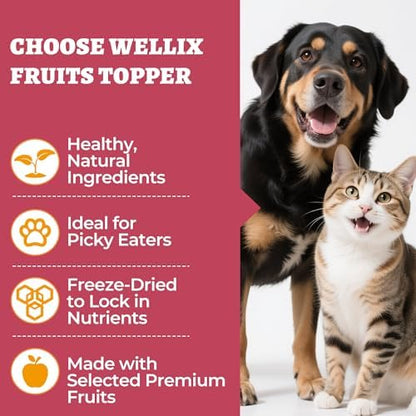 Wellix Freeze Dried Cat & Dog Treats with Chicken, Fruit & Egg Yolk, 7.05oz