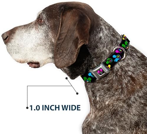 Buckle-Down Seatbelt Buckle Dog Collar - Mickey Mouse Expressions Scattered Black/Multi Neon - 1" Wide - Fits 11-17" Neck - Medium