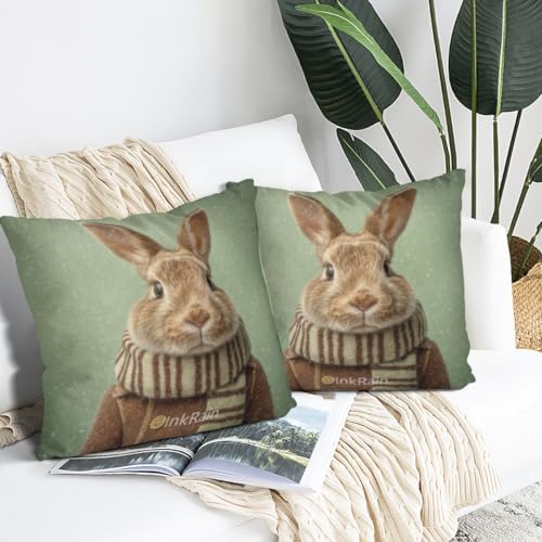 InkRain Winter Animal Cute Rabbit Pillow Cover 24x24 Inch Set of 2 Home Decor Decorative Cotton Linen Illustration Pillowcases for Living Room House Sofa