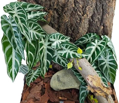 Woyrise 2 Pack Reptile Plants, Terrarium Hanging Plant Vines, Artificial Leaves with Suction Cup, Bearded Dragon Tank Accessories for Gecko Lizard Snake Frog Tortoise Decorations - Alocasia Velvet