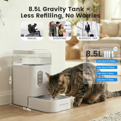 2.2 Gallon Automatic Dog Water Dispenser with Stainless Steel Bowl