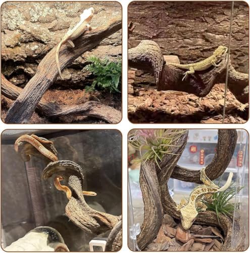 BNOSDM 2PCS Natural Reptile Climbing Branches Decor,0.8-1.2" Thick Snake Climbing Forest Wood with Plant Leaf Decor,Lizard Forest Branch,Geckos Tank Tree Trunk Accessories for Bearded Dragons