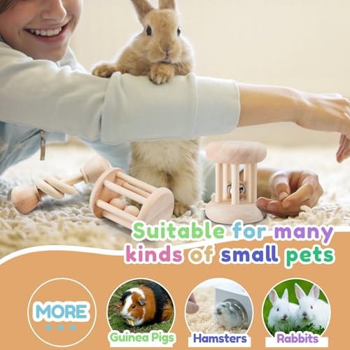 AOWPFVV Wooden Bunny Toys,Safe Rabbit Toys for Guinea Pigs,Small Animals