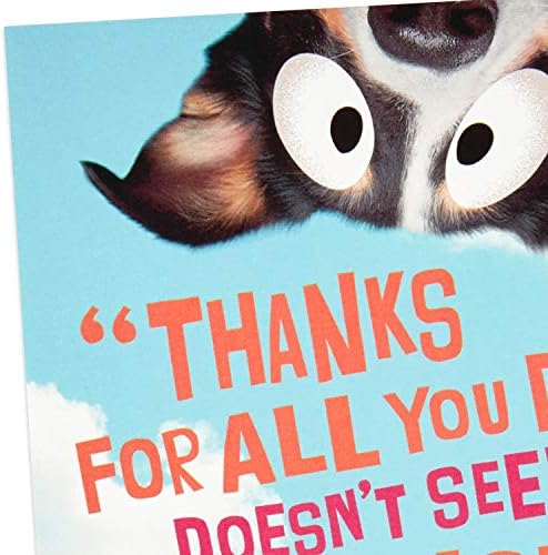 Hallmark Funny Pop Up Mother's Day Card (Dog Banner)