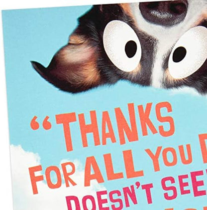 Hallmark Funny Pop Up Mother's Day Card (Dog Banner)