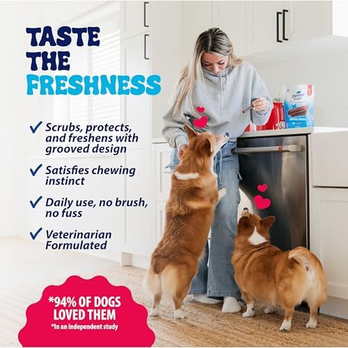 Dental Fresh Dental Treat Sticks for Medium Dogs Brush Free Chews, 26 Ct