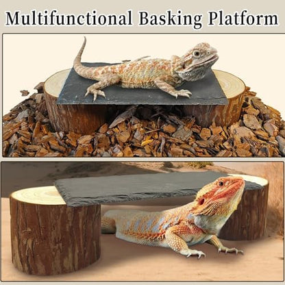 Bearded Dragon Basking Platform,Reptile Slate Basking Rock,Small