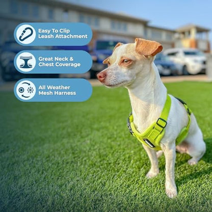 Best Pet Supplies Voyager Step-in Air All Weather Mesh Harness and Reflective Dog 5ft Leash Combo with Neoprene Handle, for Small, Medium and Large Breed Puppies - Lime Green, X-Large