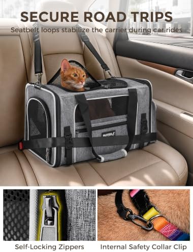 Soft Sided Pet Carrier, Travel Friendly, Small to Medium Cats 15 lbs