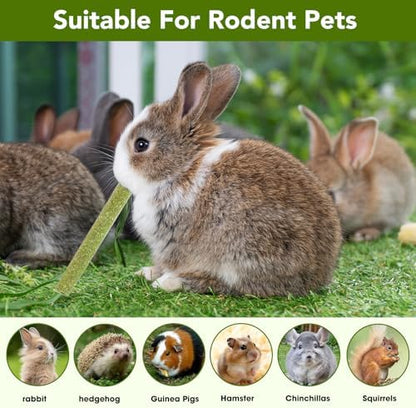 WDEFUN 45 PCS Timothy Hay Sticks for Rabbits Natural Molar Teeth Stick Chew Toys for Bunnies Chinchillas Guinea Pigs Hamsters and Other Small Animals Treats