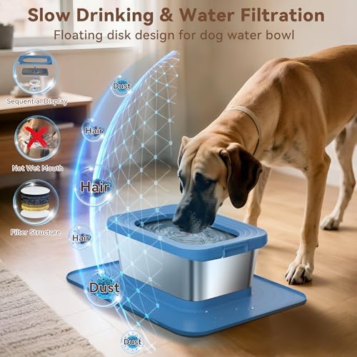 10L No Spill Dog Water Bowl Stainless Steel for Messy Drinkers
