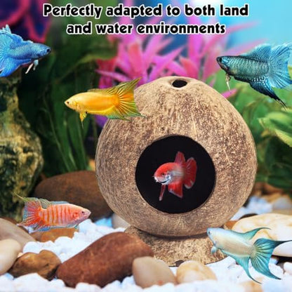 PINVNBY 2 Pcs Natural Coconut Shell Reptile Hideouts Crested Gecko Tank Accessories for Small Lizard Leopard Gecko Spider Snail Hermit Crab Hideout