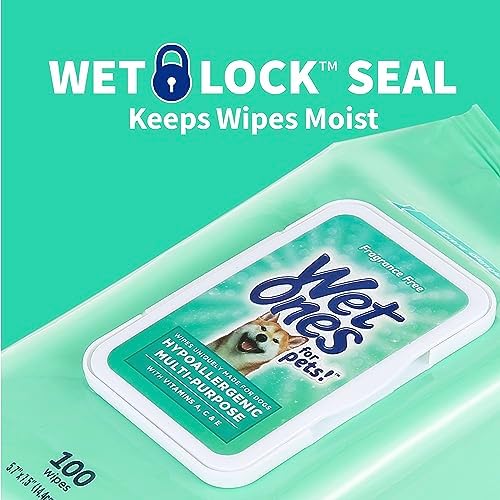 Wet Ones Mixed 13 Piece Bundle of Human & Pet Wet Wipes, Hypoallergenic | 10 Packs Sensitive Skin Hand and Face Wipes, 20 Ct Plus 3 Packs for Pets Hypoallergenic Dog Wipes, 100ct