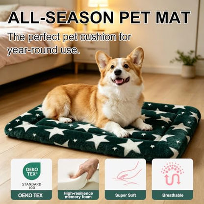 Dog Bed Mat, Reversible Dog Crate Pad with Washable Kennel Mat and Soft Foam, Pet Bed for Dogs & Cats, for Crates Carriers & Travel (Big&Small Stars Green, 24" L*18" W*1.5" Th)