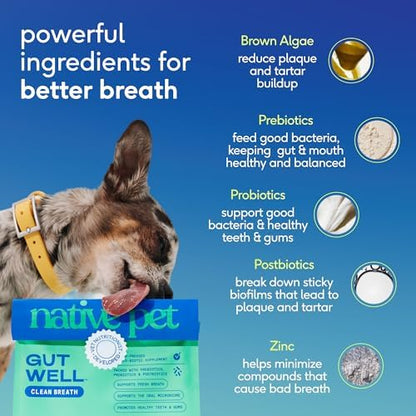 Native Pet Clean Breath Dog Dental Care - Teeth Cleaning for Fresh Breath, Clean Teeth & Healthy Gums - Tartar and Plaque Remover - Dog Breath Freshener - 60 Scoops