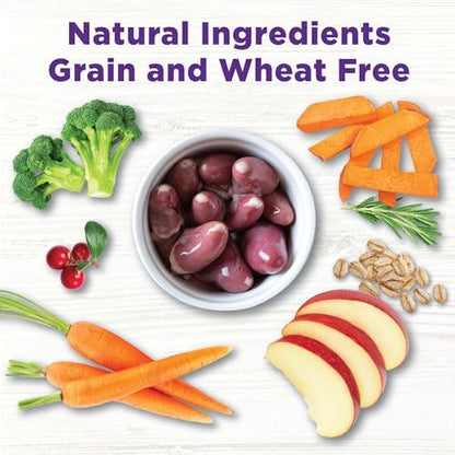 Wellness Bowl Boosters, Dog Food Topper for Small, Medium, & Large Breeds, Grain Free, Natural, Freeze Dried, Skin & Coat Health Chicken, 4 Ounce Bag (Pack of 2)
