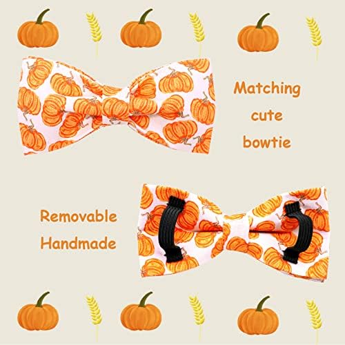 Lionheart Glory Halloween Dog Collars - Adjustable, Heavy Duty Bowtie Collar for Small Dogs, Female or Male