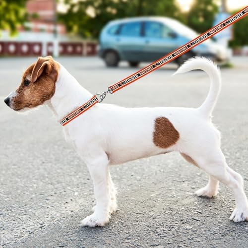 Pets First Collegiate PET Collar OLD VERSION Miami Hurricanes Dog Collar, Size Small. Best Sports Team Collar for Dogs & Cats. A Shiny & Colorful Dog & Cat Collar Licensed by The NCAA
