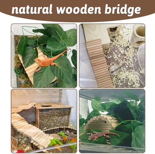 Hamiledyi 15.66 x 7.8 Inches Wooden Reptile Hideout Bearded Dragon Bendy Bridge Climbing Ladder Hiding Hut Reptiles Hide Cave Habitat Decor for Lizards Gecko Spiders Snakes Tortoise