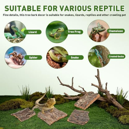 DOITOOL 8 Pcs Reptile Bark Hides, Tree Cork Bark Flats Terrarium Decoration
