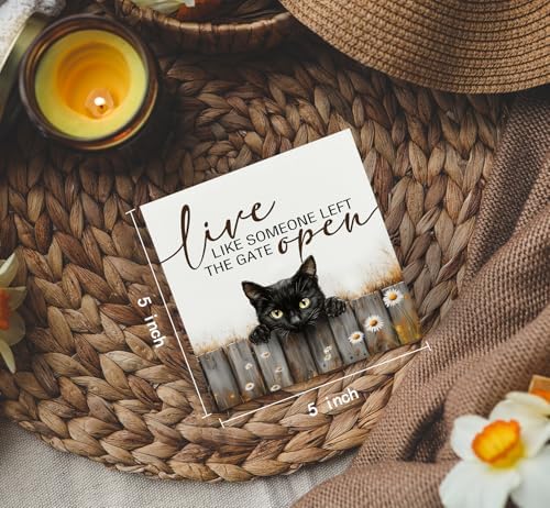 Black Cat Signs -Rustic Farmhouse Live Like Someone Left the Gate Open Signs for Home Decor, Farm Cottagecore Animal Office Kitchen Bedroom Decor, Black Cat Gifts for Women, 5x5